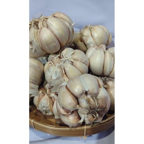 

Bawang Putih/ Bawang Putih bonggol/Bawang Putih wangi