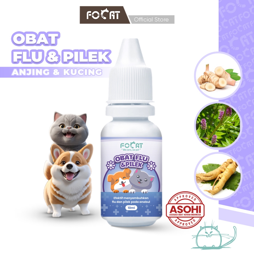 [ASOHI CERTIFIED] FOCAT Obat Tetes Flu & Pilek Kucing Anjing N42/Pet Flu Medicine 10ml/Obat Tetes Flu & Pilek Hewan Peliharaan