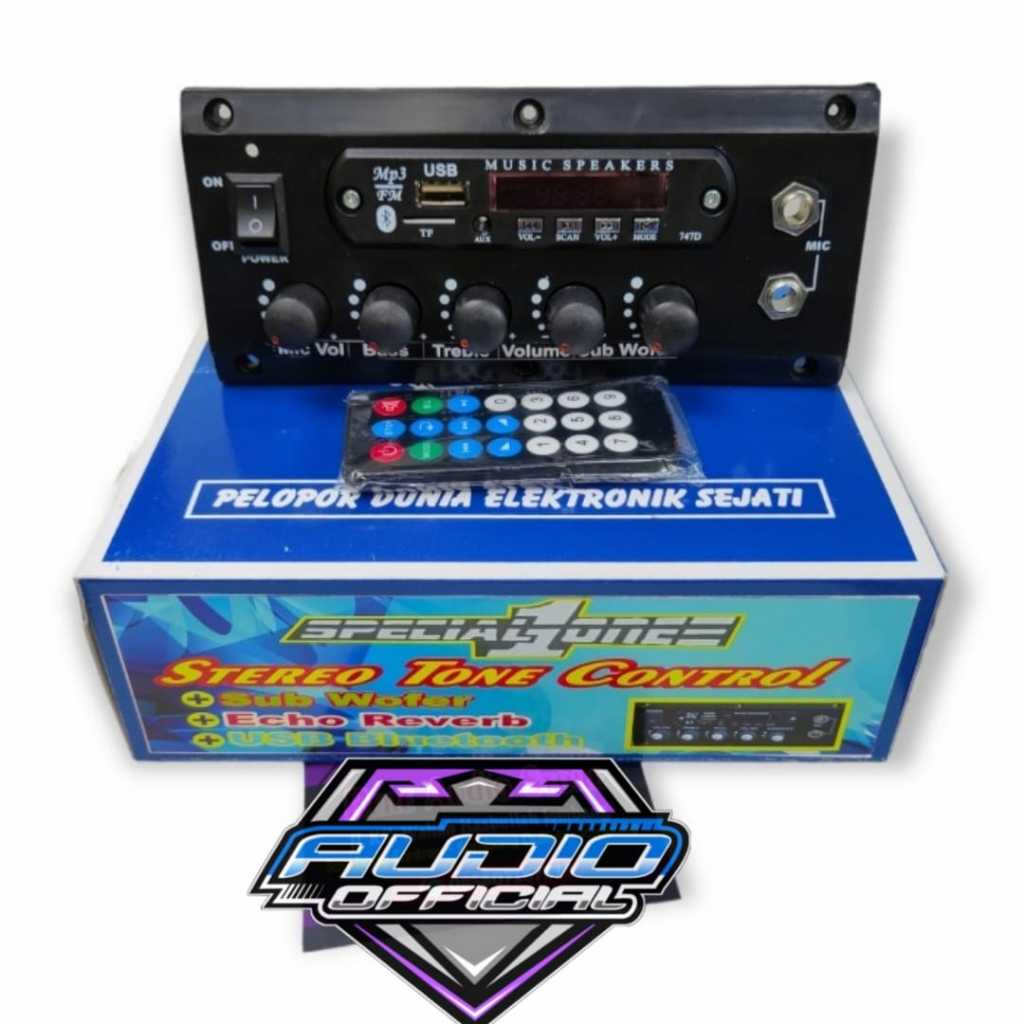 Aktif Tone Control + USB MP3 Bluetooth ECHO 2mic Karaoke Original