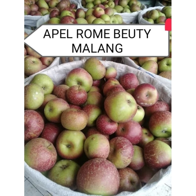 

APEL ROME BUETY 1 kg kualitas A-B - apel batu malang - apel diet - apel fresh petik pohon