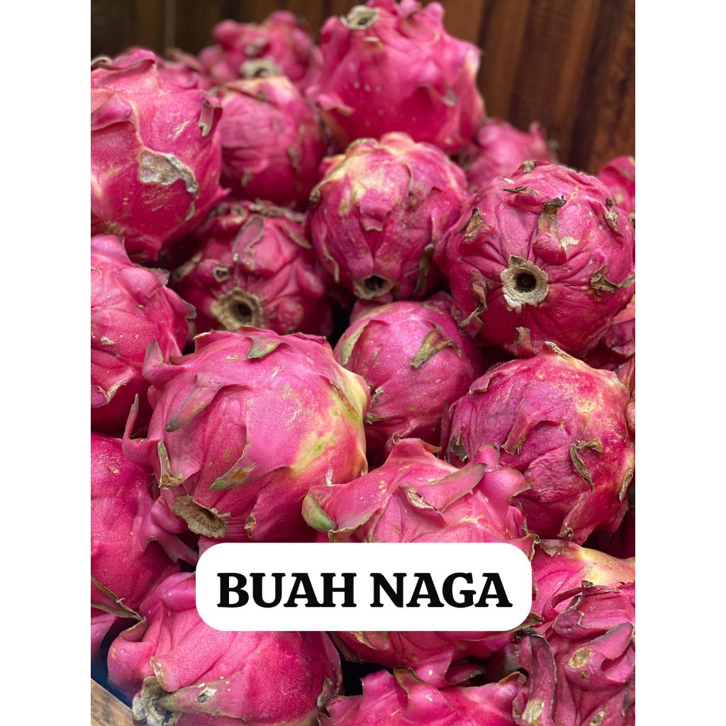 

BUAH NAGA MERAH FRESH ANTIOKSIDAN