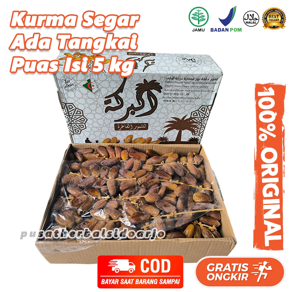 

5kg Alger Tunisia Tangkai 5 KG Tunisian Dates