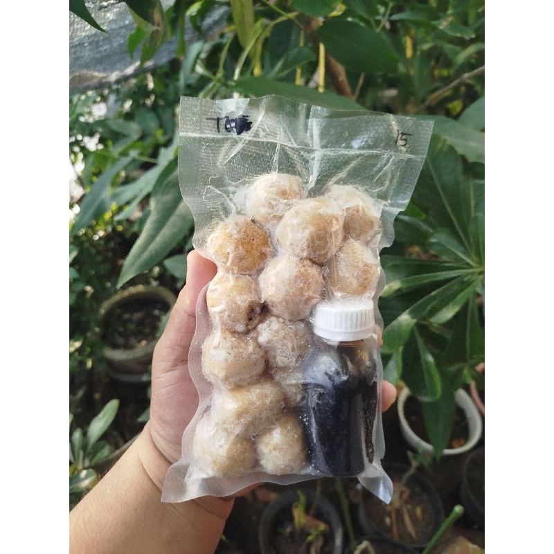 

Pempek Adaan Isi 15pcs dengan Cuko Pempek Kemasan 450gram