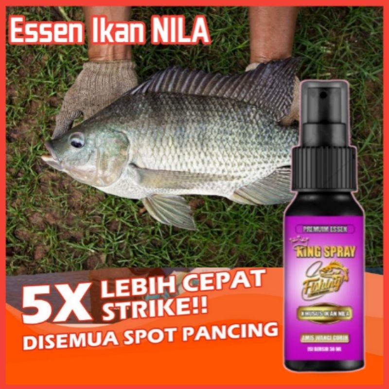 Essen Ikan Nila Paling Ampuh, Essen Ikan Nila Media Lumut Paling Ampuh,Essen Ikan Nila,Essen Ikan Ni