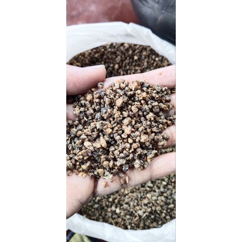 

Tiwul instan MAKANAN PENGANTI NASI