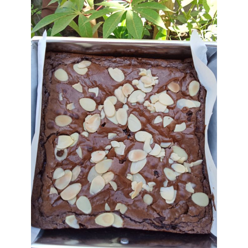 

BROWNIES FUDGY 16x16x5