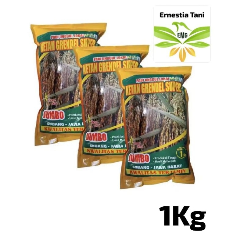 

Ketan Grendel Super 1 kg Benih Padi Ketan Putih Dewi Sri