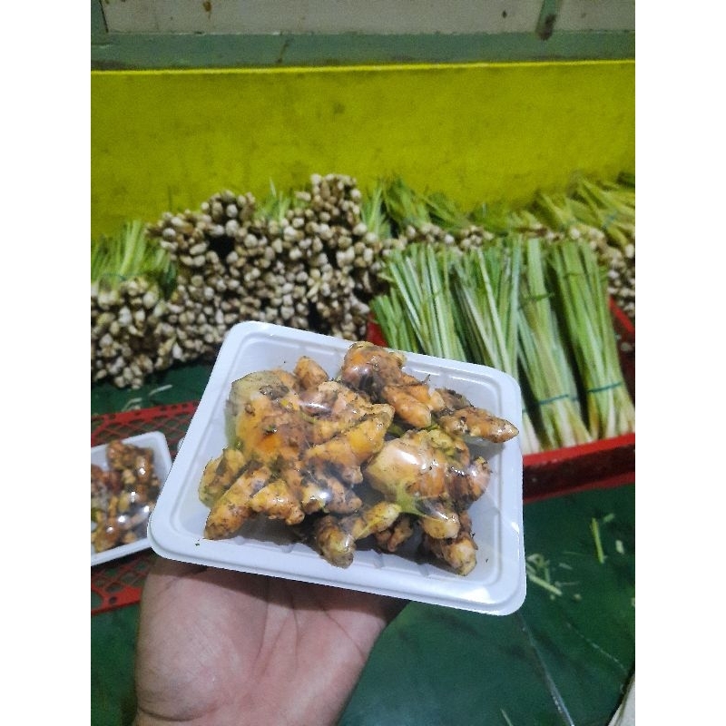 

Kunyit Fresh Dari Kebun Alami Pembelian 3 Kg Gratis 250g