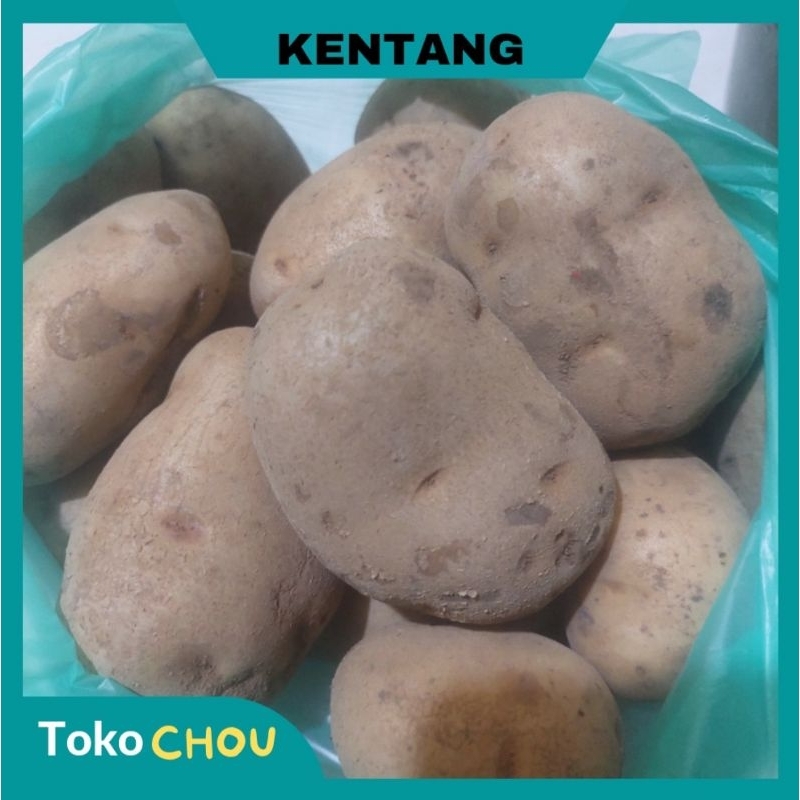 

Kentang Ukuran Sedang | 250gr | Kentang asli dari Sumbar