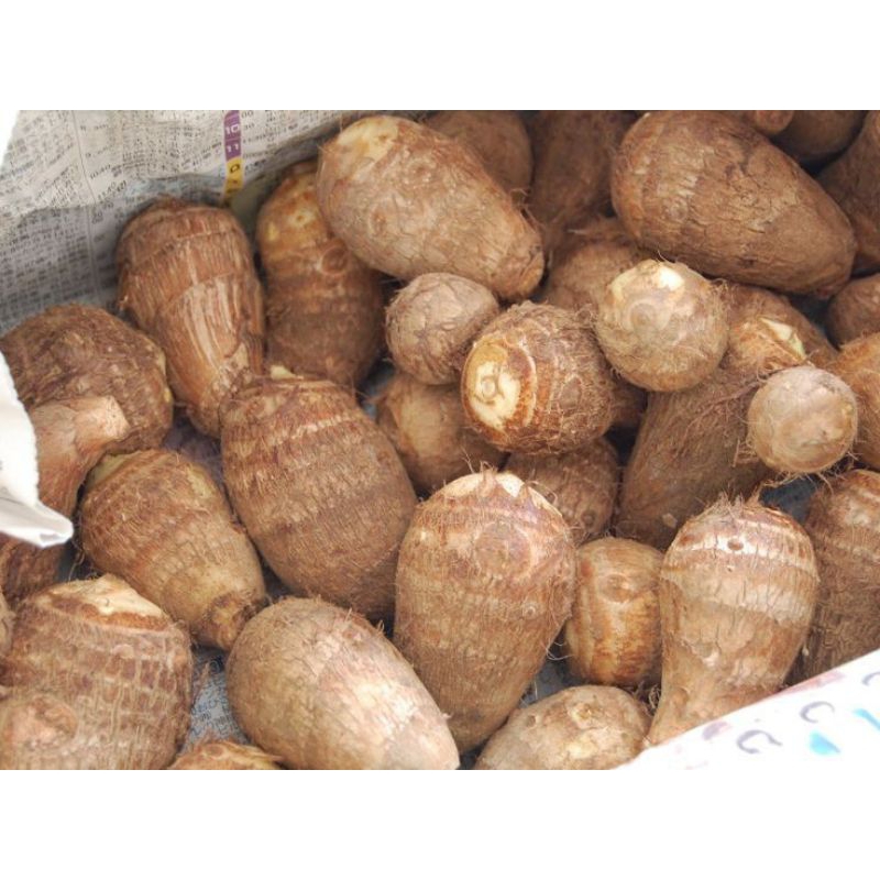 

Talas kimpul/talas bogor enak di jamin ketagihan dan banyak juga manfaat nya buat kesehatan 1kg