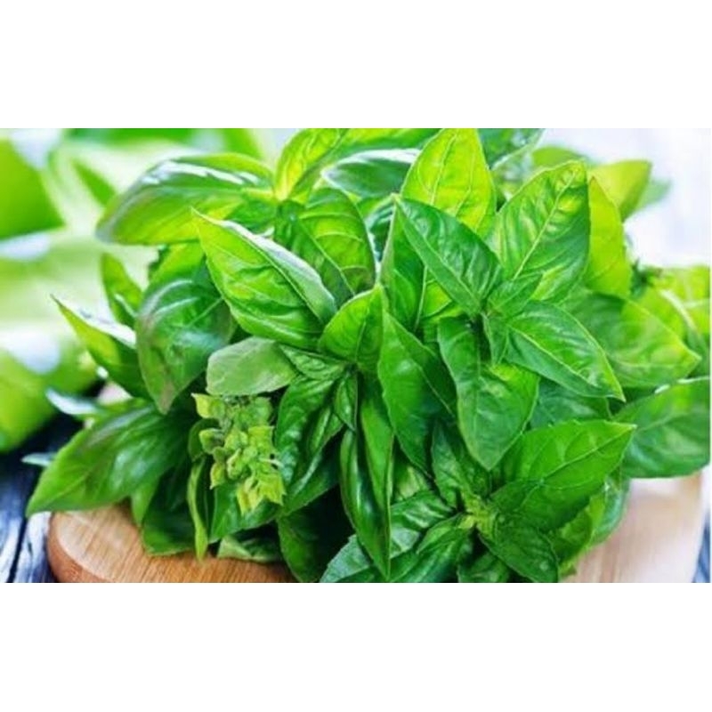 

daaun kemangi 1 ikat