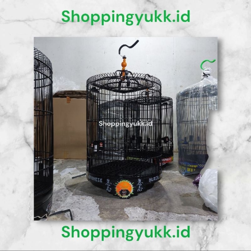 Kandang Burung Murai Rafi Jaya Air brass