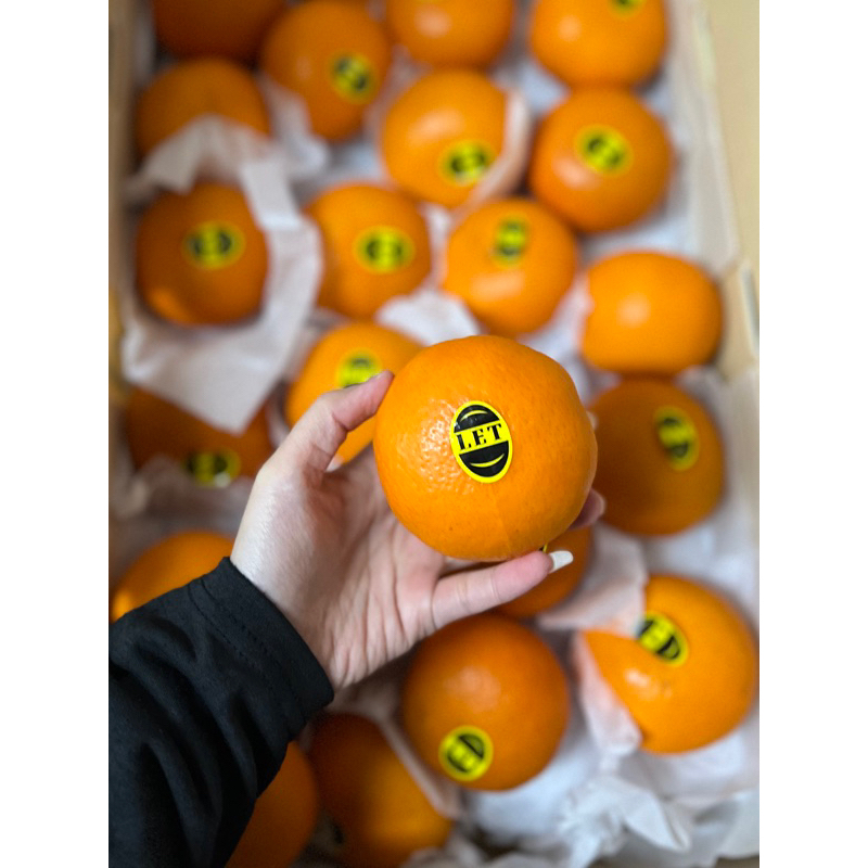 

JERUK WOKAM LET 1 KG | BUAH JERUK WOGAN MANDARIN MANIS