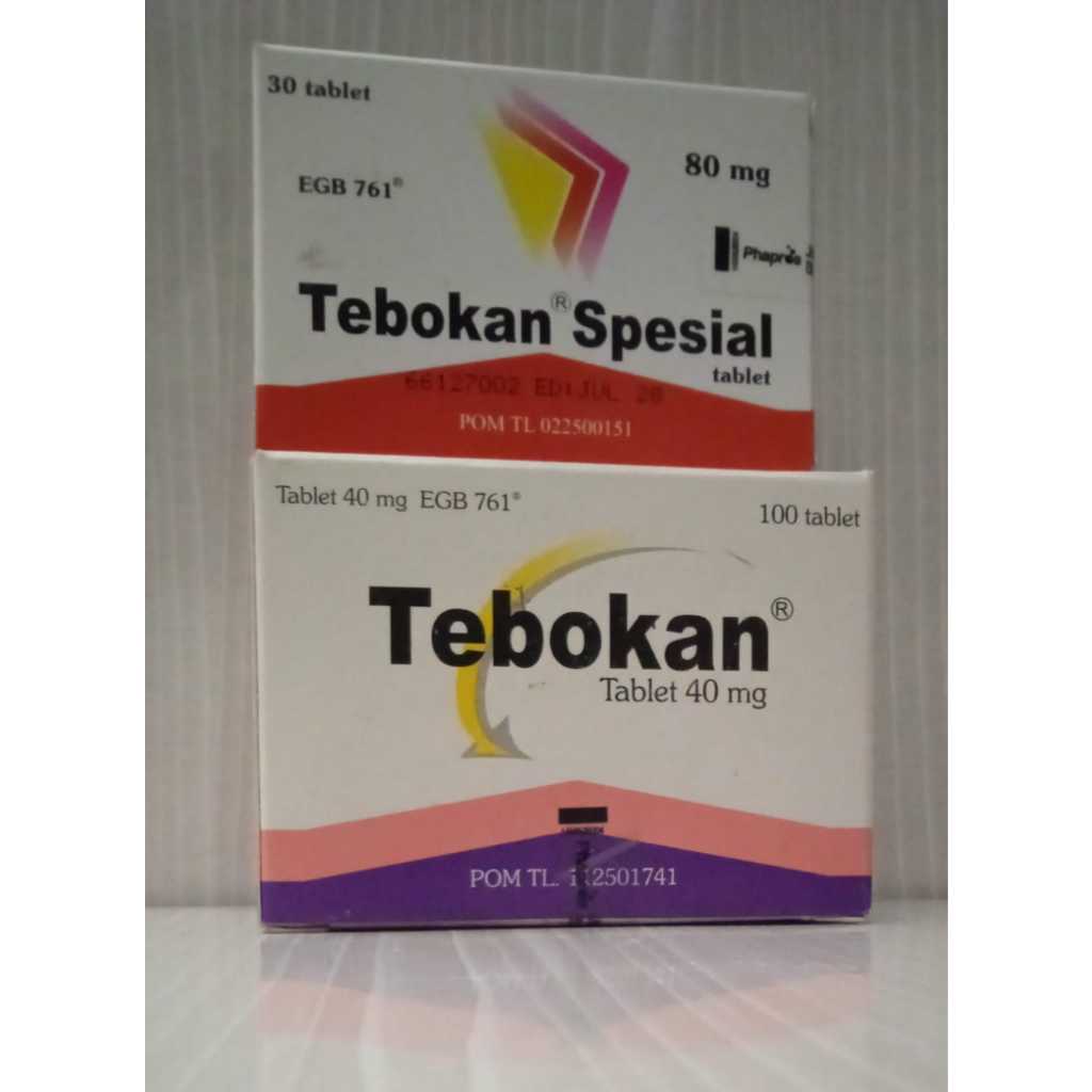 TEBOKAN TABLET ekstrak ginkgo biloba