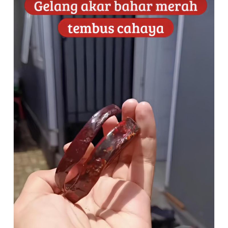 Gelang Akar Bahar Merah Asli Original - Akar Bahar Merah Size Kantoran Sedang