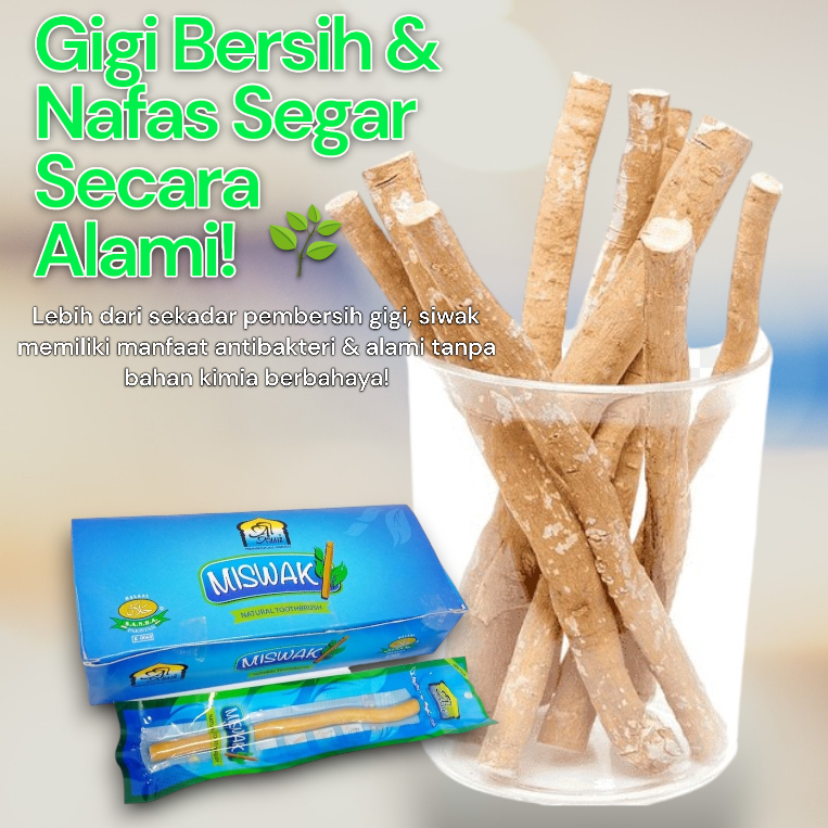 MISWAK - siwak per batang Siwak ukuran besar Siwak ukuran kecil Miswak asli kualitas premium Beli si