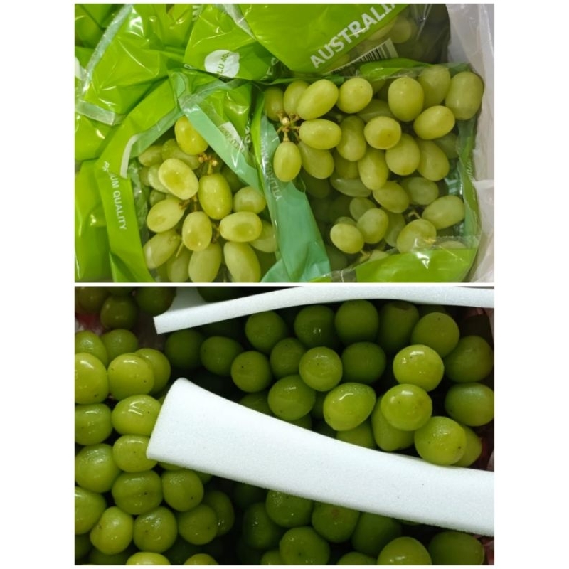 

Buah Segar: Anggur Hijau - Green Muscatt / Green Peru / Australian Sedless (Thompson) Curah/Kiloan