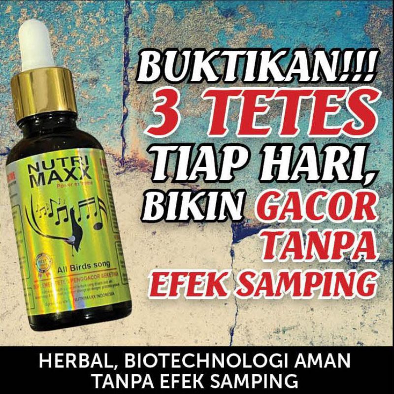 NUTRI MAXX PENGGACOR BURUNG