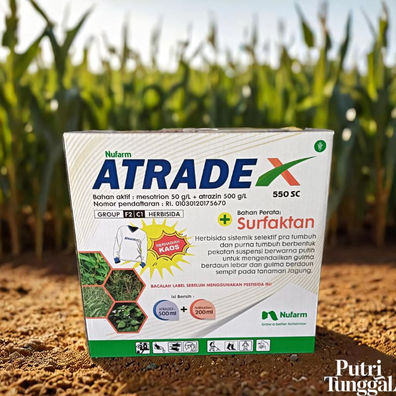 atradex 550SC herbisida selektif pada tanaman jagung