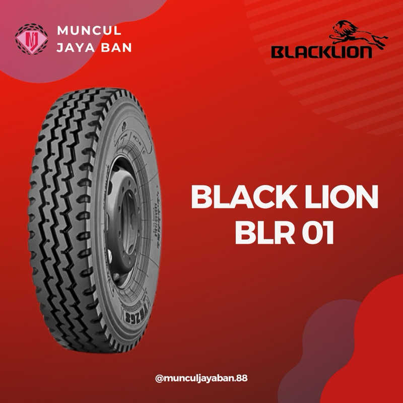 BLACKLION 1000 R20