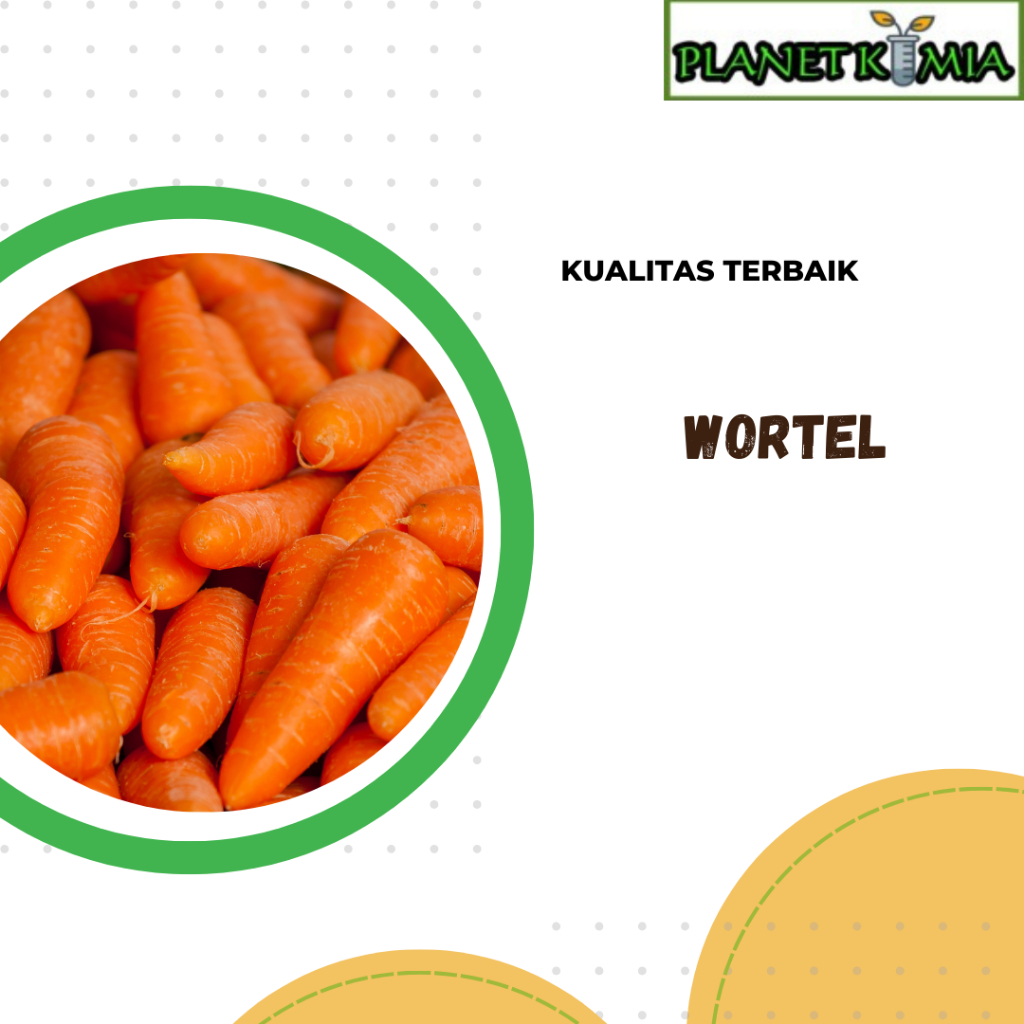 

ekstrak wortel best product