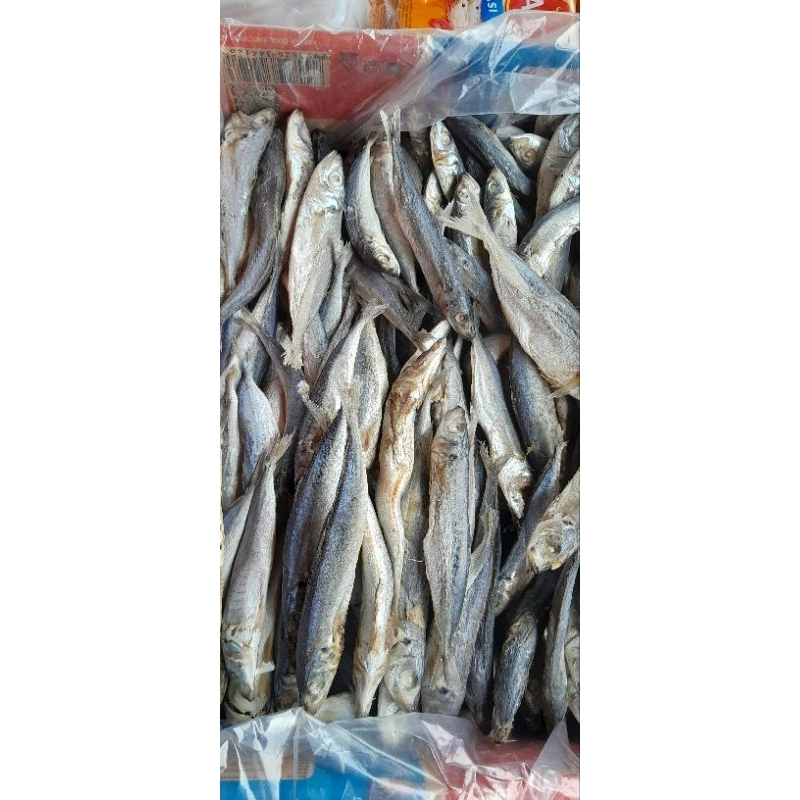 

Layang Asin Super Seperapat 15rb ( 250 gram )