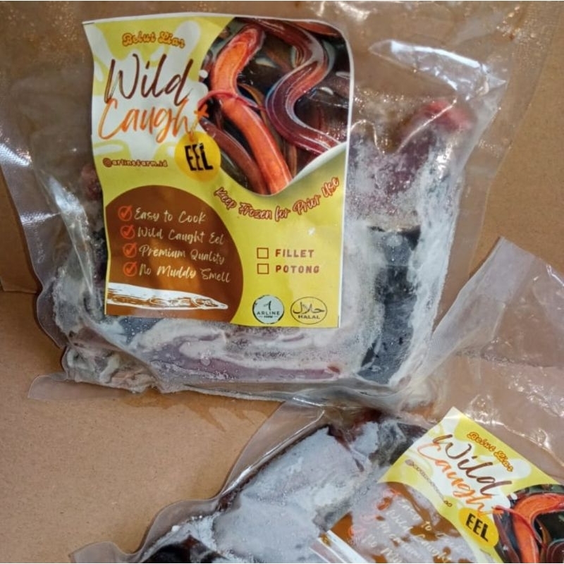 

BELUT LIAR ARLINEFARM KUALITAS SUPER