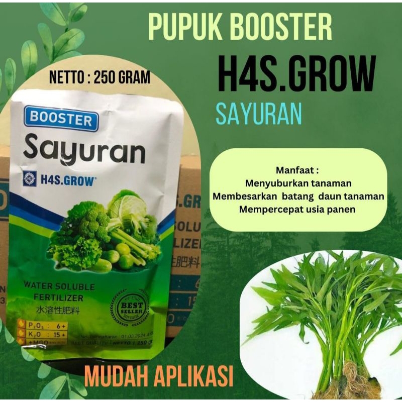 H4S.GROW Sayuran 250 Gram