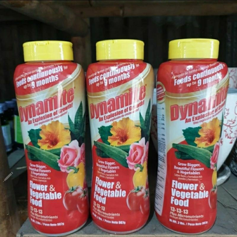 Pupuk Slowrelease Dynamite 907gr