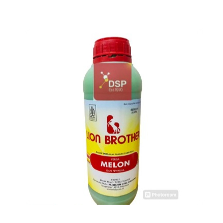 

Pasta Melon Delion Brothers Btl 1 KG