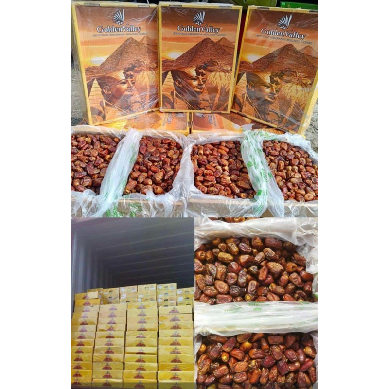 

Kurma NEW Mesir Golden Valley 1dus 10kg Basah Golden valley