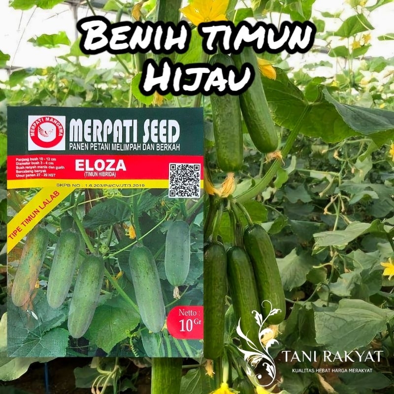 Benih Bibit Timun Hijau ELOZA 10 gram
