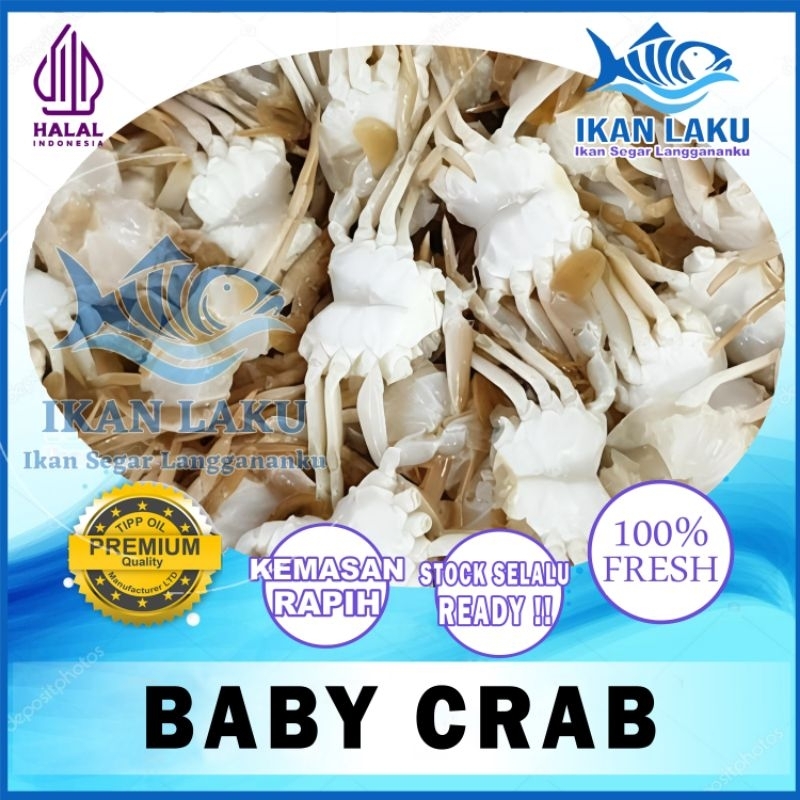 

BABY CRAB BERSIH SUDAH BUANG ISI PERUT TERMURAH BERGARANSI IKAN LAKU IKAN SEGAR IKAN BEKU