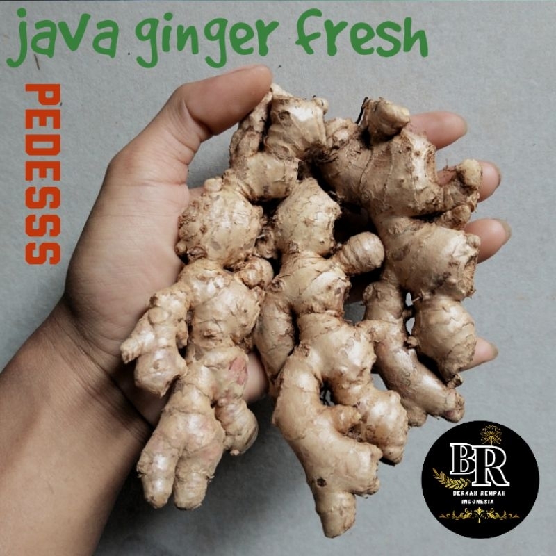 

jahe emprit Fress sudah bersih dari tanah segar 250 gram yg pastinya pedas gratis ongkir