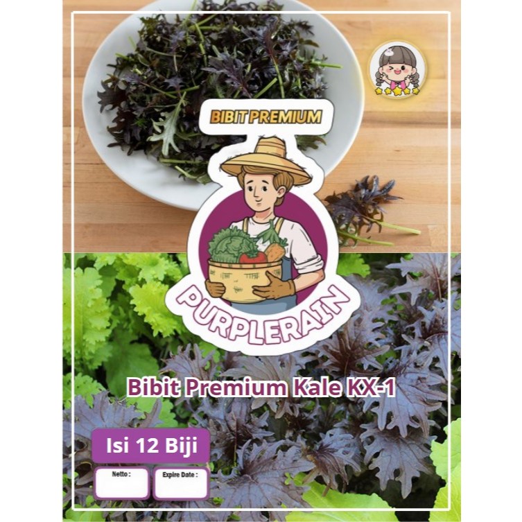 Bibit Premium Kale KX-1 | Biji Bibit Kale KX 1 | Biji Benih Kale KX