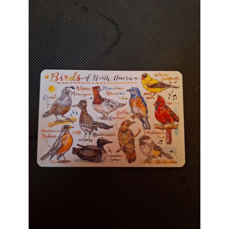 

kartu pos loupaper bird of amerika/loupaper burung Postcard