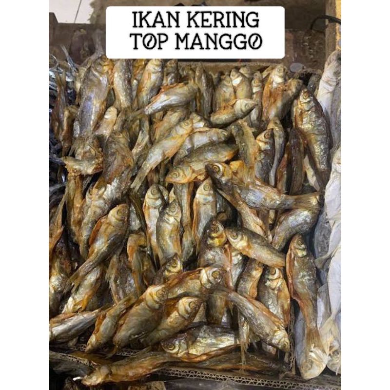 

ikan teri kering TOP MANGGO