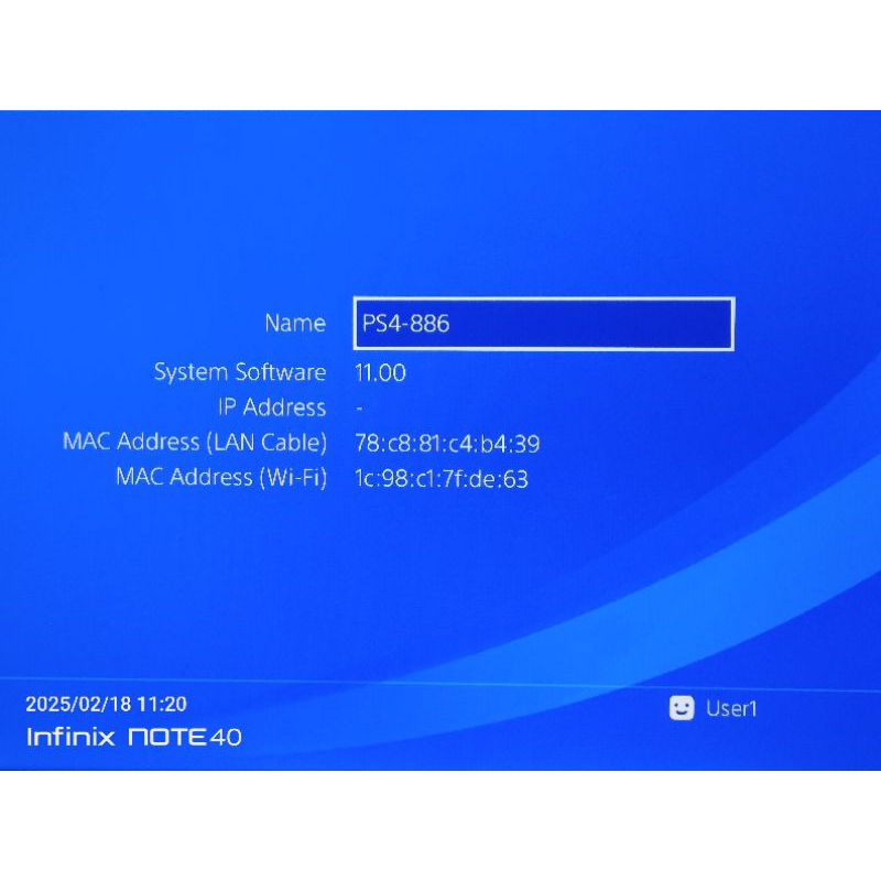 ps 4 slim hen