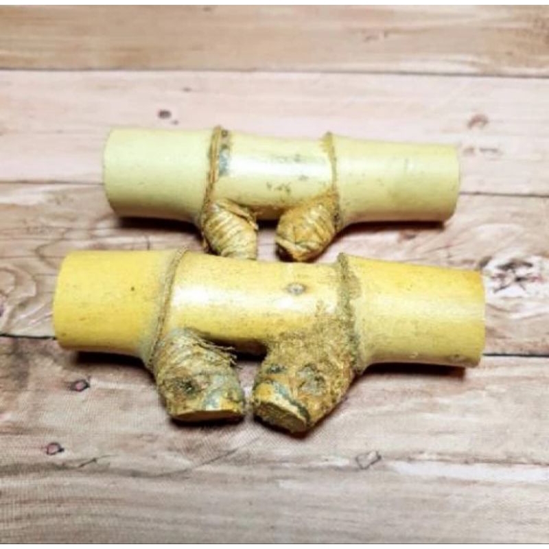 Bambu Petuk Ruas Asli - Garansi Kualitas Produk 1 Pcs