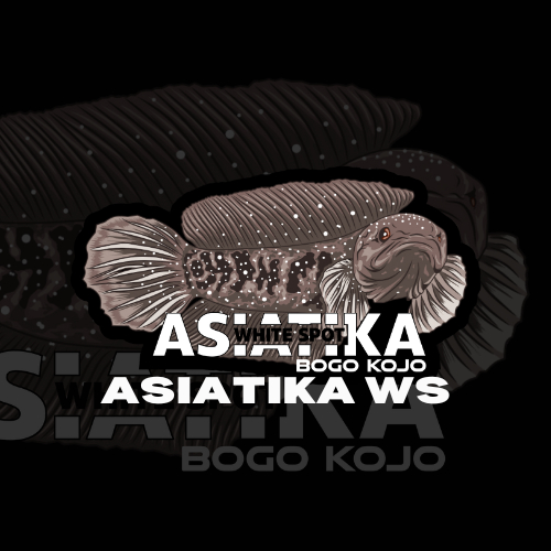 

Sticker Asiatika Ws Anti Air