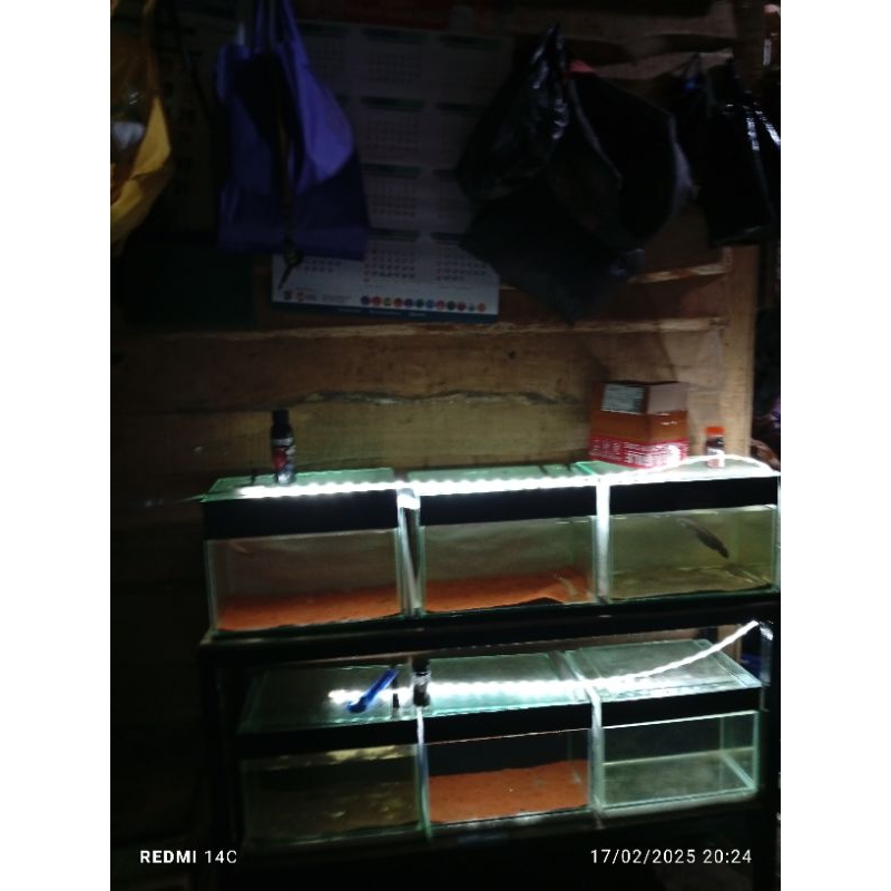 cana andrao jos jis 5-7