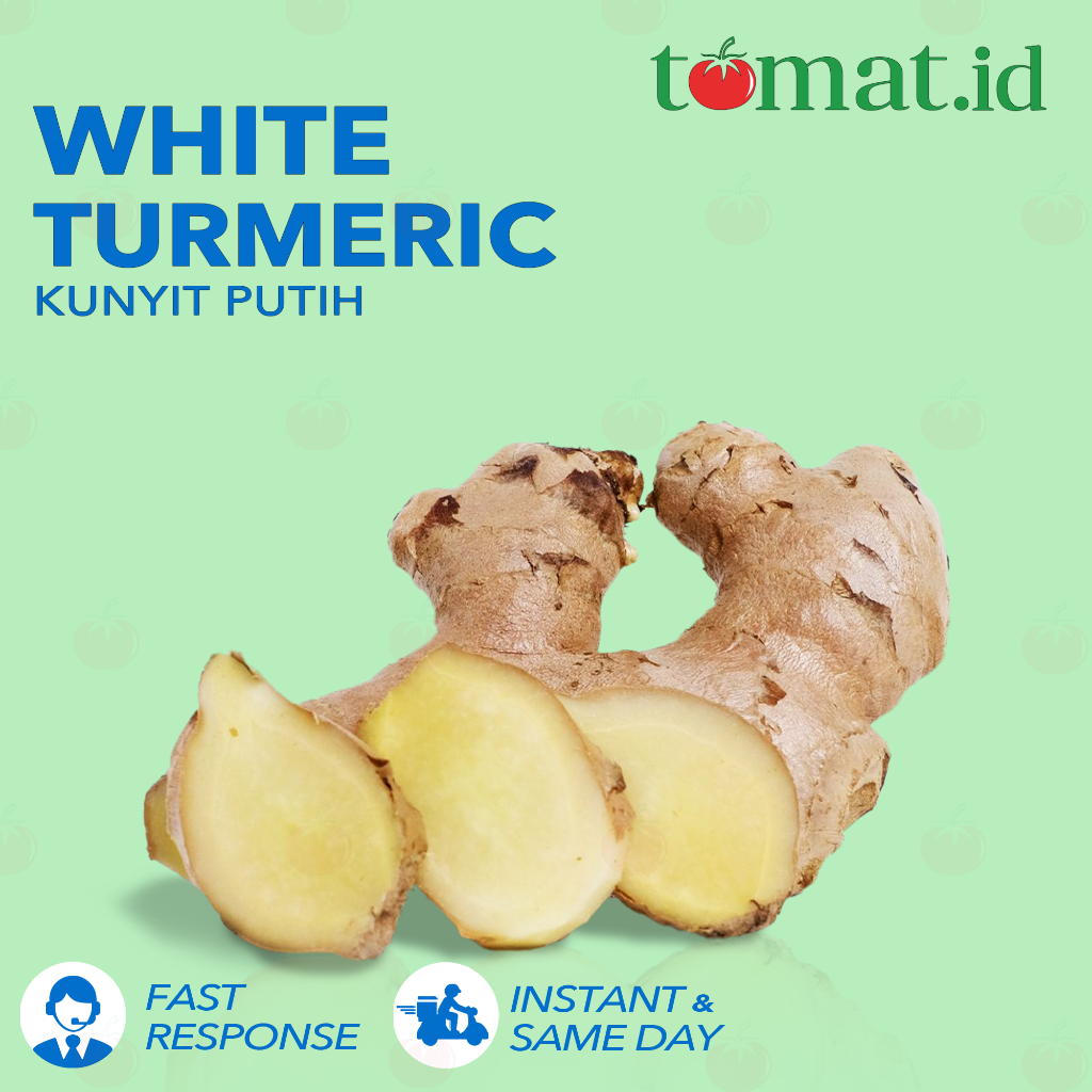 

Kunyit Putih / White Turmeric