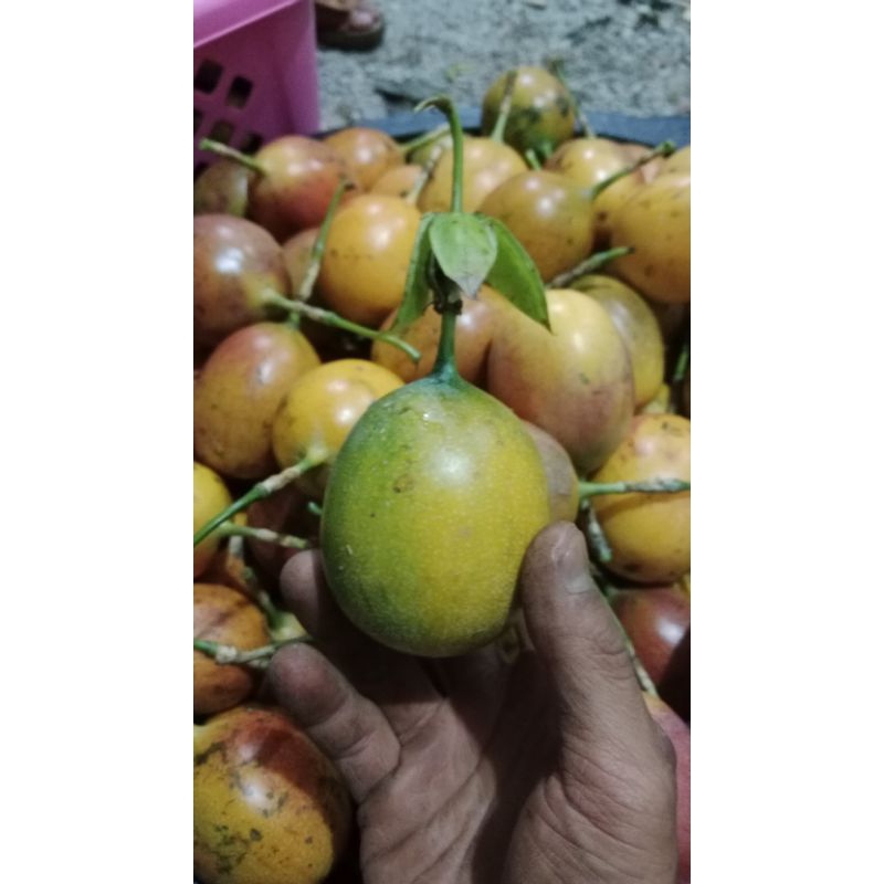 

markisa konyal 4kg super