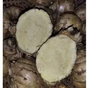 

Kunyit hitam atau temu hitam . segar fres 1000 gram
