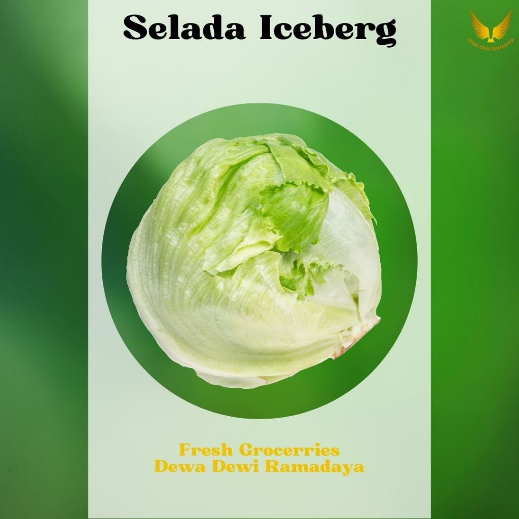 

Selada Iceberg Organik Dewa Dewi Rama Daya