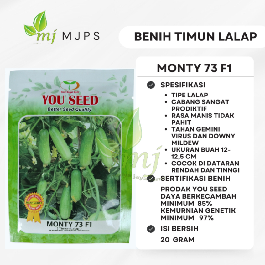 Benih Timun/mentimun MONTY 73 F1 YOU SEED Isi 20 gram