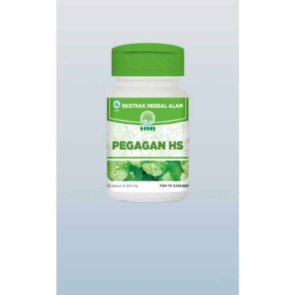 PEGAGAN HS HNI
