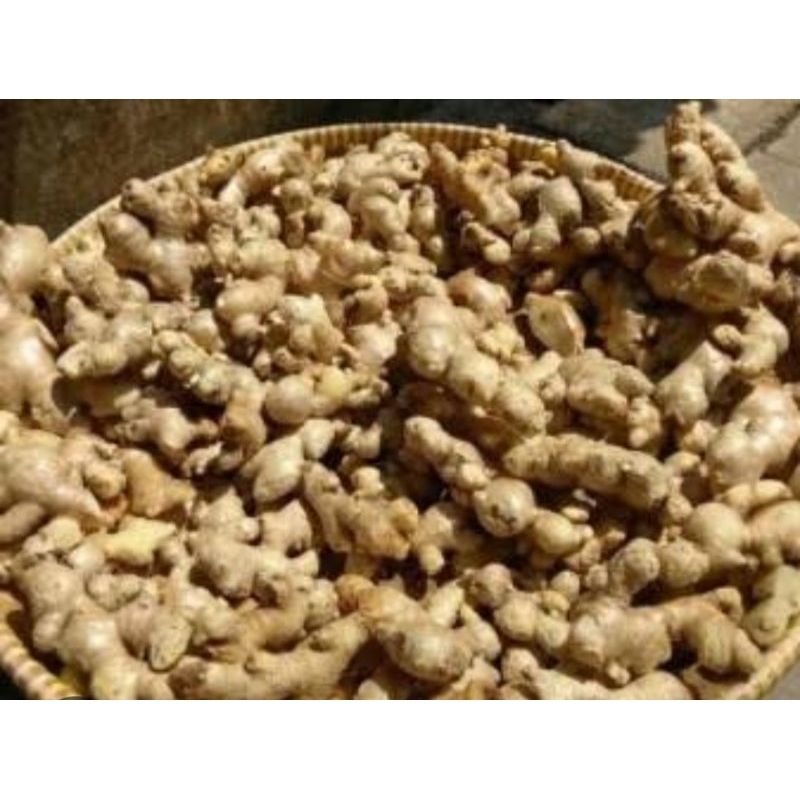 

jahe super premium 250 gram