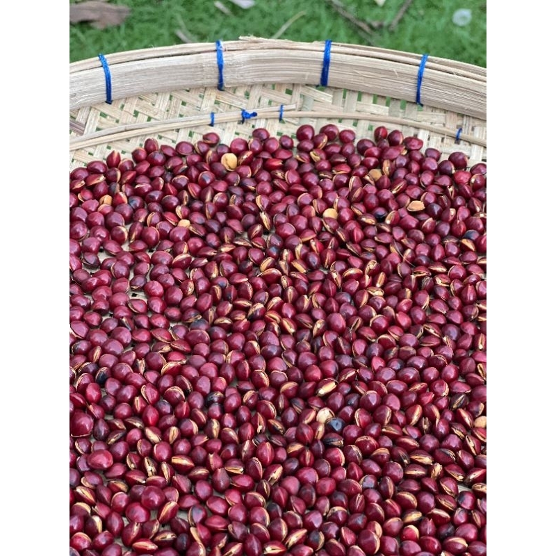 

Biji saga (Saga telik) matang sangrai 200 gram