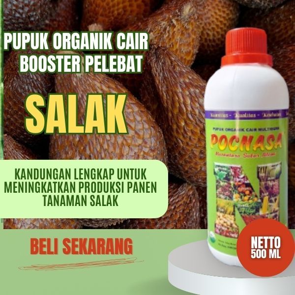 Pupuk Salak / Booster Salak / Pupuk Salak Sidempuan / Merah / Pupuk Salak Gading / Salak Pondoh